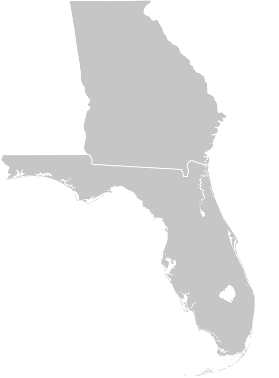 Map Of Florida And Georgia Together - Map New Min 
